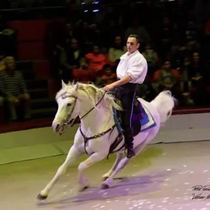 29791818_1445226632248125_8435690322516983615_n-1