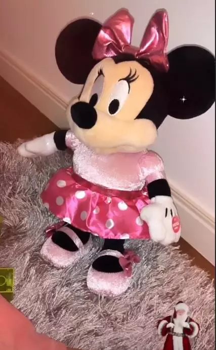 Cadoul-Zenaidei-de-Moș-Nicolae