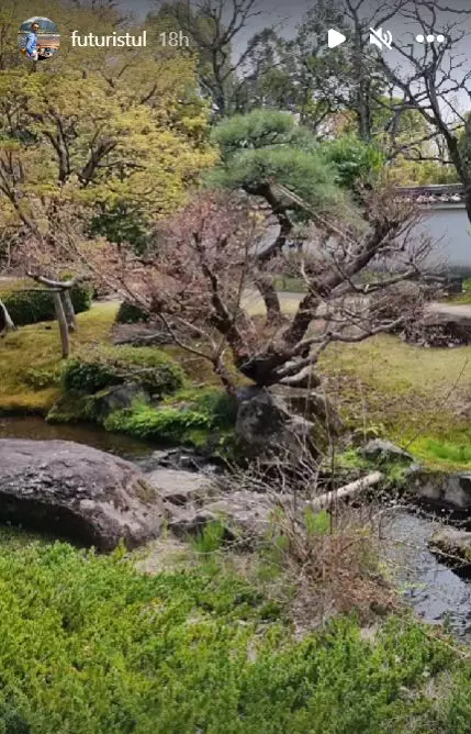 de-ce-lipseste-razvan-simion-de-la-neatza-cu-razvan-si-dani-4