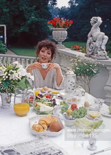 serialul-Moștenirea-familiei-Guldenburg-la-nostalgia-TV