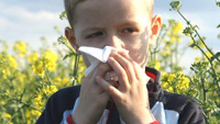 La adapost de alergii