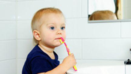 Primii dinti la copii: eruptia dentara