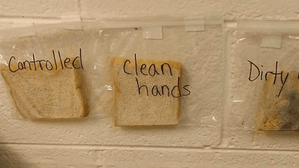 Cum le demonstrezi celor mici importanta spalarii pe maini cu 3 felii de paine