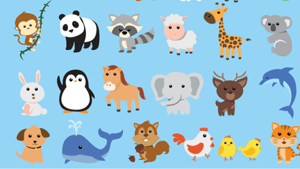 Curiozități despre animale sălbatice și domestice