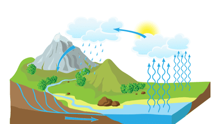 Circuitul apei în natură pe înțelesul copiilor