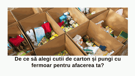 De ce să alegi cutii de carton și pungi cu fermoar pentru afacerea ta?