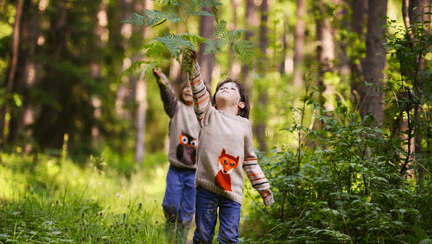 Cum influențează natura dezvoltarea cognitivă a copiilor?