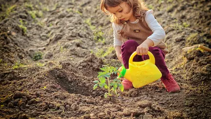 Invata-l sa fie responsabil cu mediul inconjurator