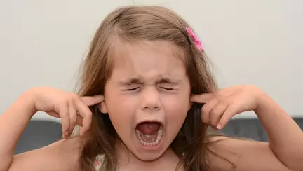 Cum îl faci să nu mai țipe?