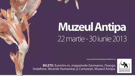 ”The Human Body” are succes