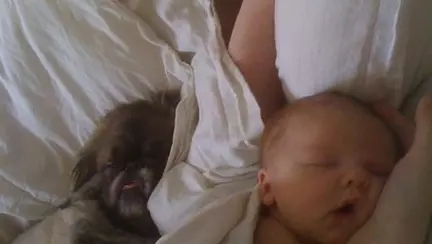 Sssst, toată lumea doarme!