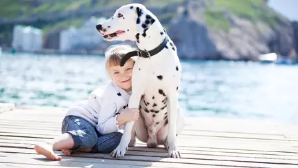 Copilul vrea un câine! – ce să știi înainte de a-l lua