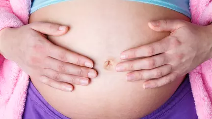 Jurnalul de sarcină lună cu lună