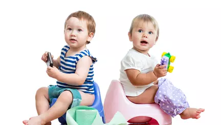 Cum să-l faci să folosească oliţa