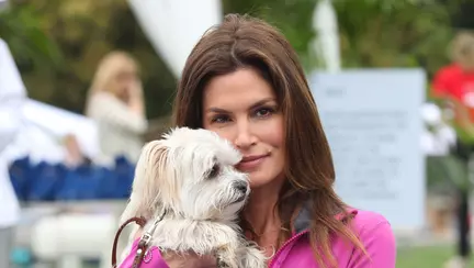 Ele au o slăbiciune pentru cățeluși!