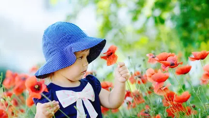 Cum combați canicula?