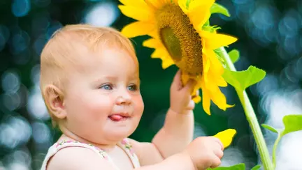 Pericole de vară: ferește-l!