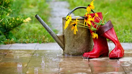 Tradiţii şi obiceiuri de Sfântul Ilie