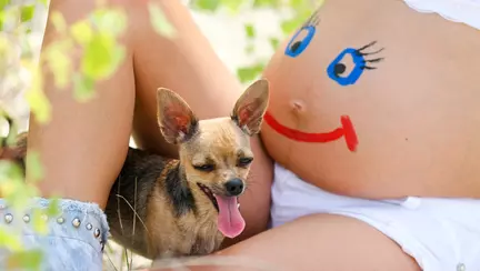 Cum îți pregătești animalul pentru venirea bebelușului 