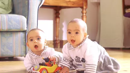 Gemenii: mituri și adevăr