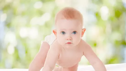 Pe oliţă la doar câteva luni?