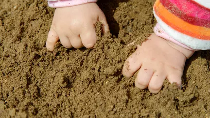 Toxocaroza – tot ce trebuie să ştii