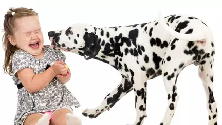 Copilului îi este frică de animale