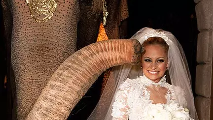 Vedete la nuntă: așa s-au căsătorit ei!