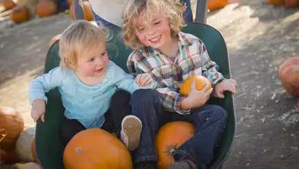 Sănătate: ce să știi despre dovleac