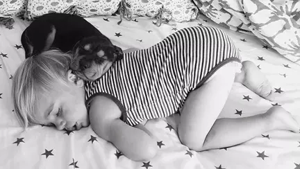 Adorabili: Cei mai buni prieteni! 