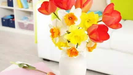 Cum să îți decorezi casa pentru a scăpa de stres