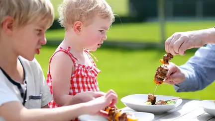 Copilul nu vrea carne - ce faci?