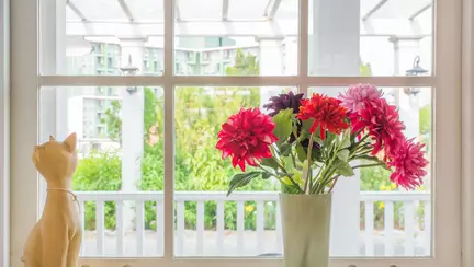 Cum să își ferești casa de poluare