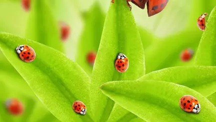 Când copilul te surprinde făcând sex