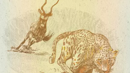 Zoo monetar - fauna lumii pe bancnote și monede