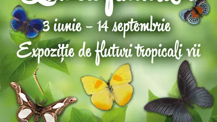 Lumea fluturilor te așteaptă până pe 14 septembrie!