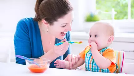 Primele meniuri pentru bebeluș