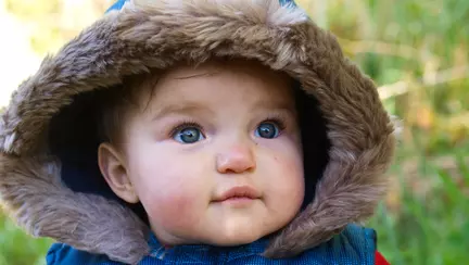 Cum îţi dai seama că are sinuzită?