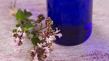 5 uleiuri cu efect antibiotic