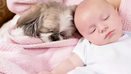 De ce să ii iei copilului un caine