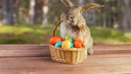 Cum a aparut Iepurasul de Paste