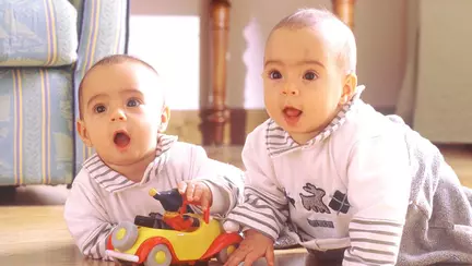 7 adevăruri despre gemeni