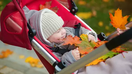 Carucioare pe care le poti cumpara de Black Friday