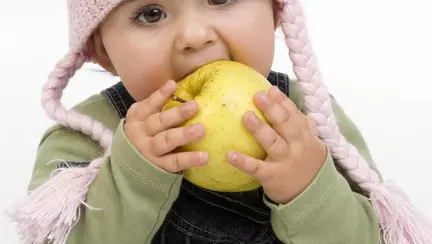 UPDATE | E.coli, bacteria care a băgat spaima în părinții din România. Care sunt concluziile Corpului de Control al premierului și ce spune despre vaccinuri