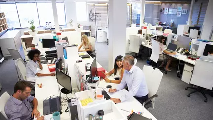 (P) În ce domenii preferă românii să se angajeze în 2016