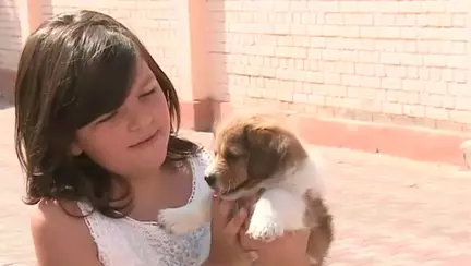 Gestul pe care o fetita din Iasi il face pentru catelusul ei