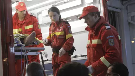 O fetita de 3 ani din Iasi a fost gasita cand statea langa cadavrul mamei sale. Ce facea fetita i-a lasat pe toti fara cuvinte