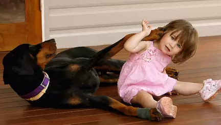 Cainele proaspat adoptat le-a salvat copilul