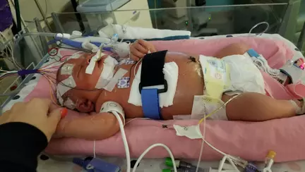 Un simplu gest de afectiune a costat-o viata pe aceasta fetita. Mare atentie, nu repetati greseala parintilor!