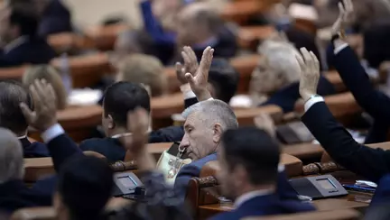 Ordonanta care plafoneaza indemnizatiile pentru cresterea copiilor a ajuns in Senat